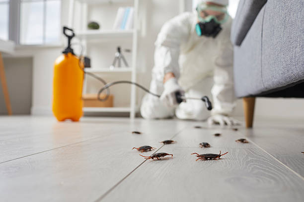 Trusted Fumigation Services service in Vista Santa Rosa, CA - Nex Pest Control