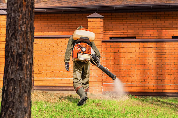 Trusted Emergency Pest Control service in Vista Santa Rosa, CA - Nex Pest Control